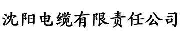 日韩精品国产福利免费福利久久久一本电缆厂logo